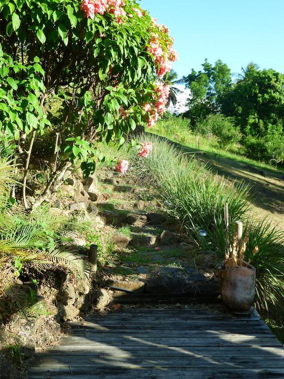 Bed and Breakfast Les Jardins De Cousiniere Vieux-Habitants Exterior foto